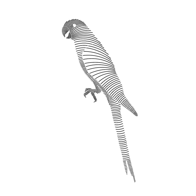 Ilustración de arte de línea simple de un pájaro loro 2