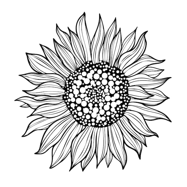 Ilustración de arte lineal con girasol