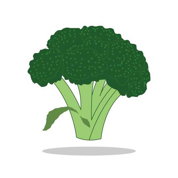 Ilustración de arte Símbolo logo botánica diseño concepto icono verduras de brócoli