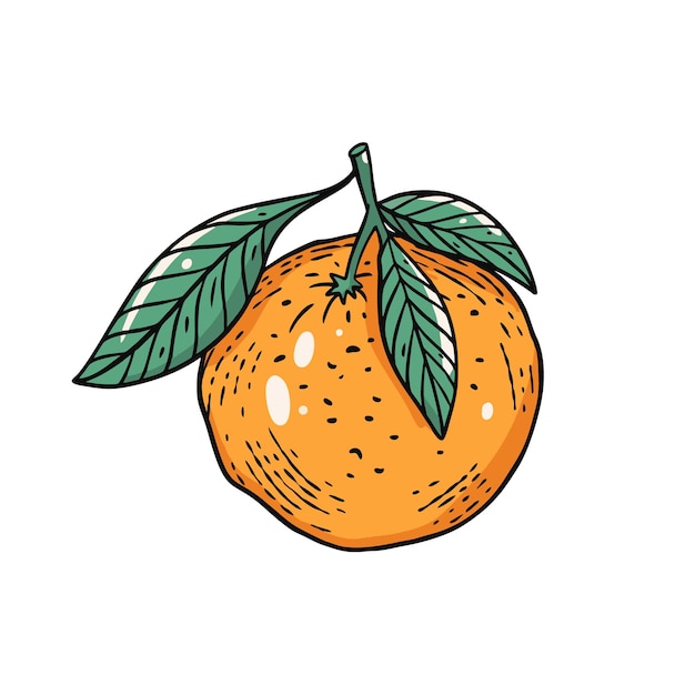 Ilustración de arte de vector colorido de contorno de fruta naranja dibujada a mano.