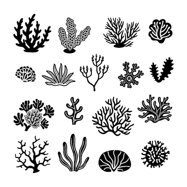 Ilustración de arte vectorial de arrecifes de coral