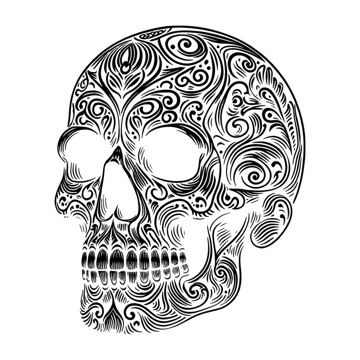 Ilustración de arte vectorial de la cabeza del cráneo