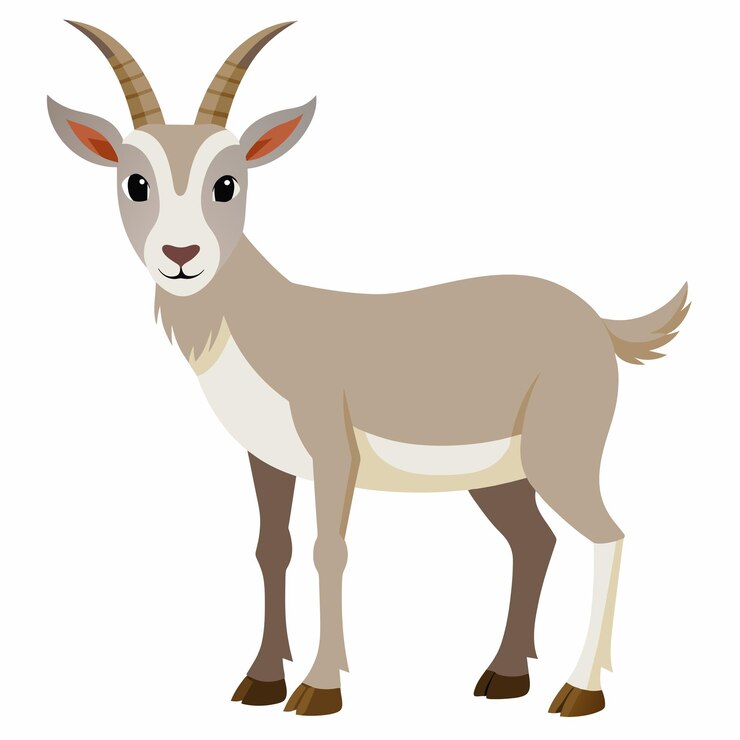 Vector ilustración de arte vectorial de la cabra 22