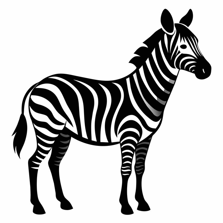 Vector ilustración de arte vectorial de cebras