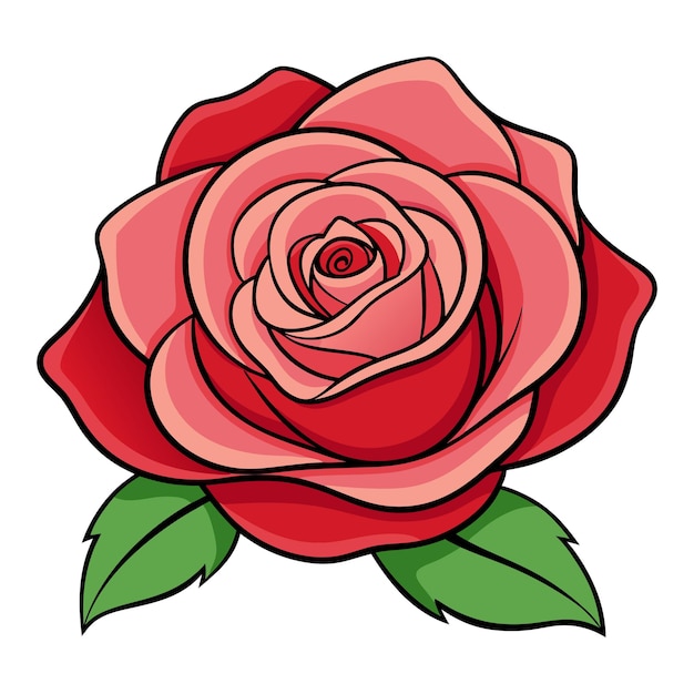 Ilustración de arte vectorial de color rojo rosa