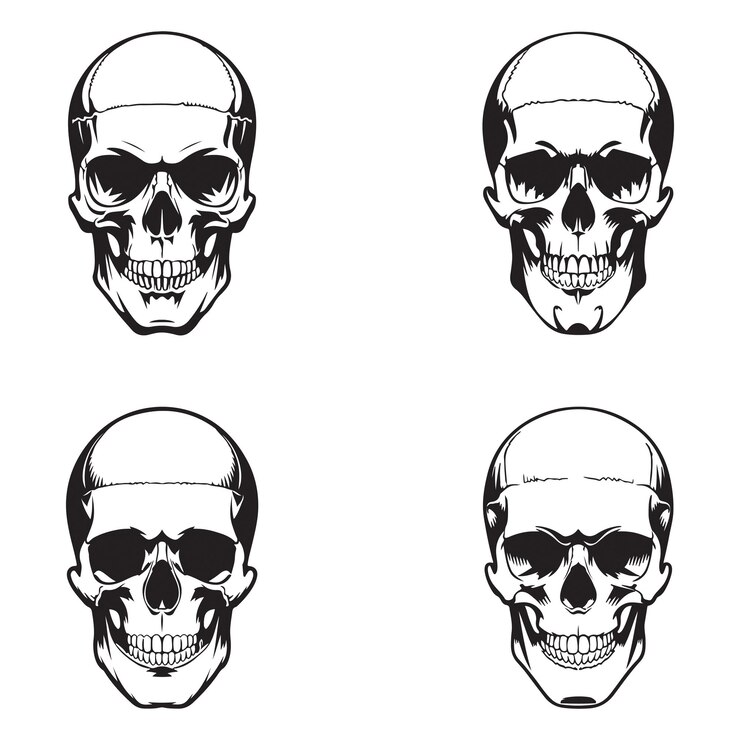 Ilustración de arte vectorial del conjunto de la cabeza del cráneo