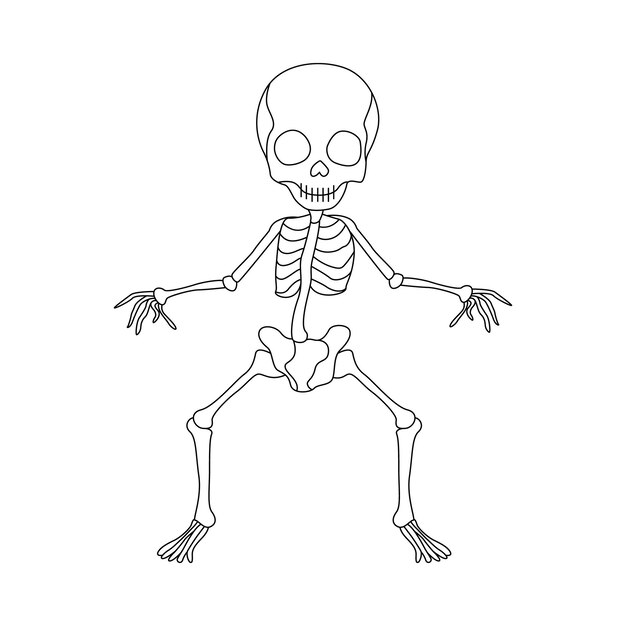 Ilustración de arte vectorial de contorno de esqueleto de una línea continua