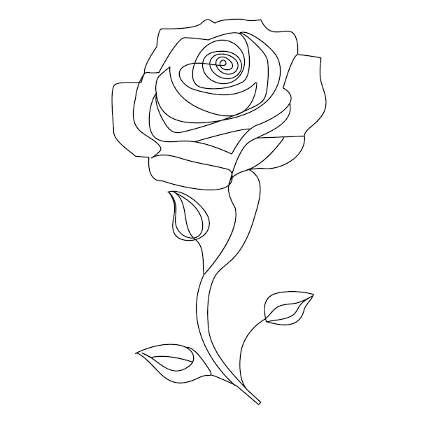 Ilustración de arte vectorial de contorno de flor de rosa de una línea continua