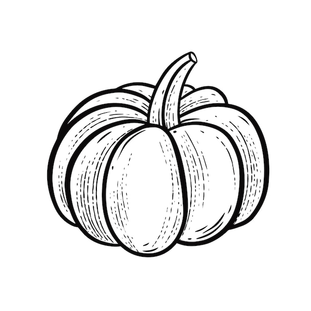 Ilustración de arte vectorial de estilo de grabado dibujado a mano de calabaza.