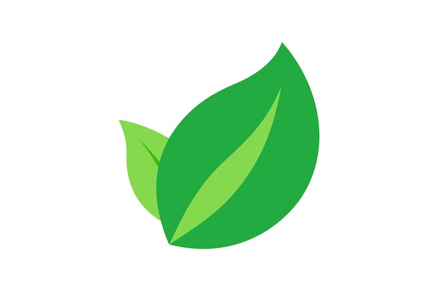 Ilustración de arte vectorial de la hoja verde del icono ecológico