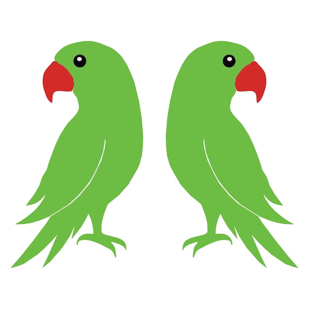 Ilustración de arte vectorial de loro doble con fondo blanco