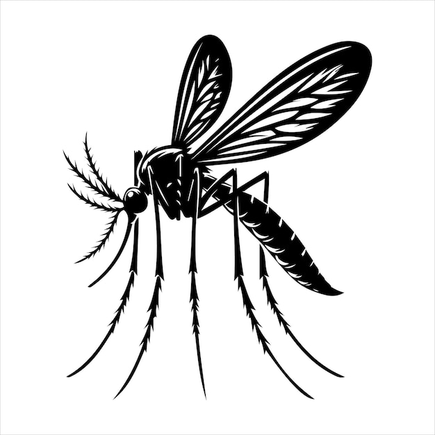 Ilustración de arte vectorial de mosquitos