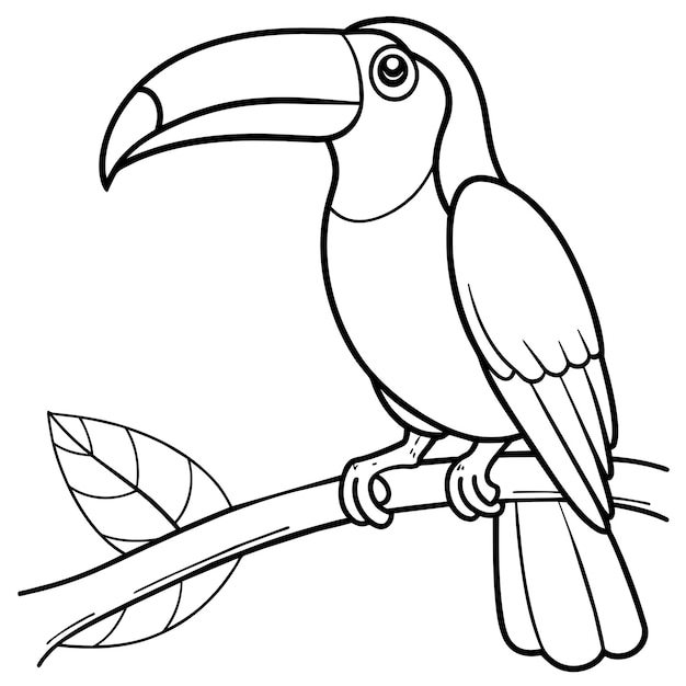 Vector ilustración de arte vectorial del pájaro tucano 13
