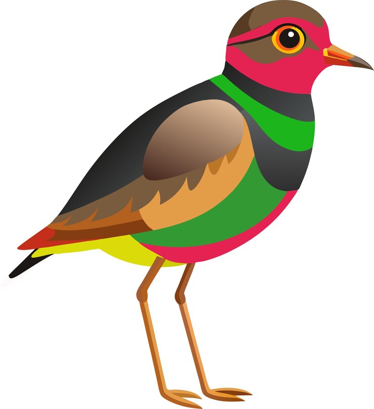 Vector una ilustración de arte vectorial de pájaros coloridos