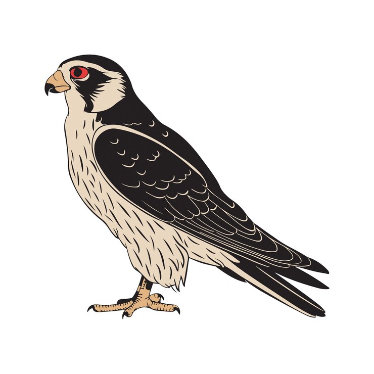 Ilustración de arte vectorial de pájaros halcón