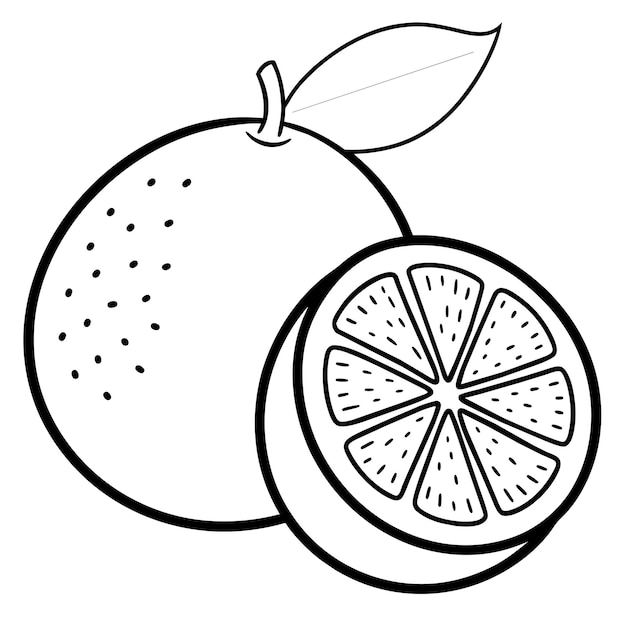 Vector ilustración de arte vectorial de pomelo 6