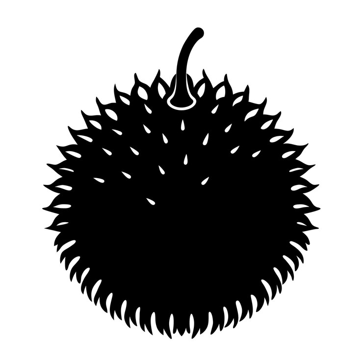 Ilustración de arte vectorial de silueta de Rambutan en color negro Diseño de frutas de Rambutan