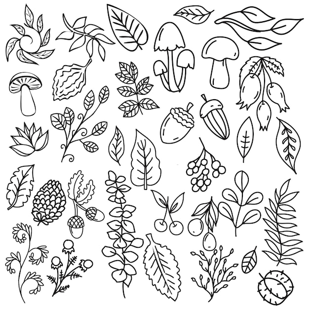 Ilustración de arte