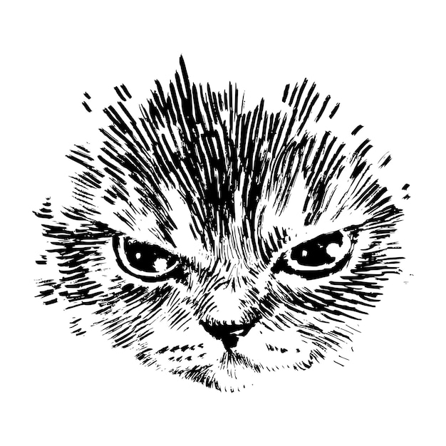 Ilustración artística de una linda cara de gato enojado