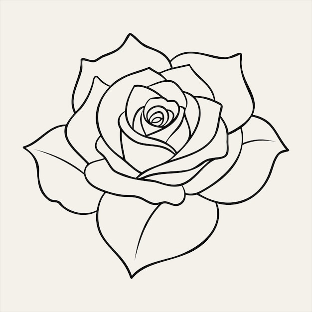 Ilustración artística de la línea de flores de rosa 004