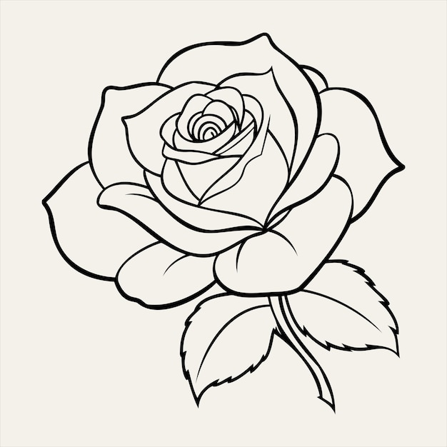 Ilustración artística de la línea de flores de rosa 005