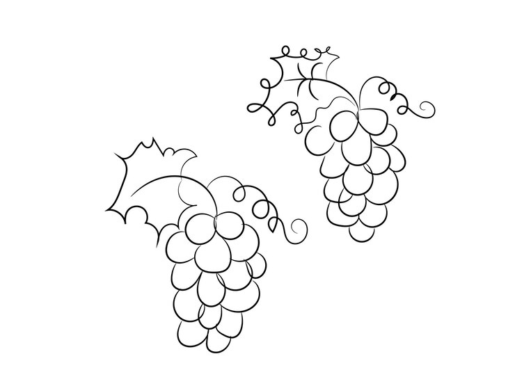 Vector ilustración artística de la línea de frutas dibujada a mano