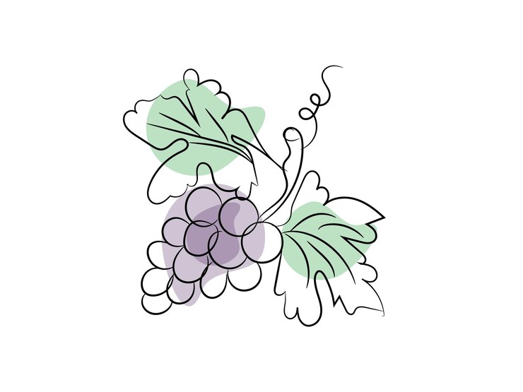 Vector ilustración artística de la línea de frutas dibujada a mano