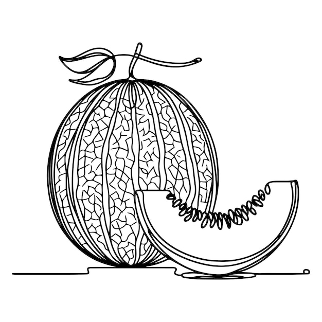 Vector ilustración artística en línea de melón de melón