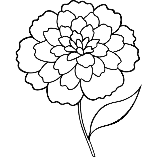 Ilustración artística de la línea vectorial de la flor de la margarita