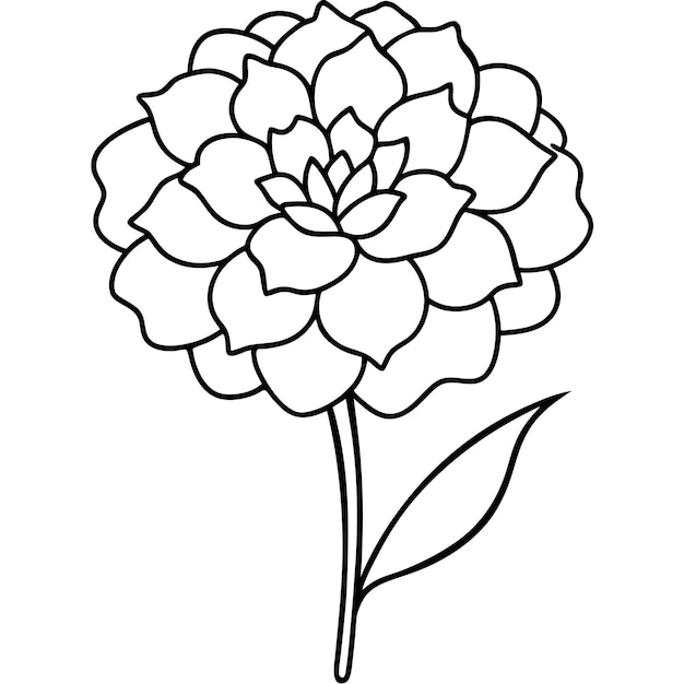 Ilustración artística de la línea vectorial de la flor de la margarita