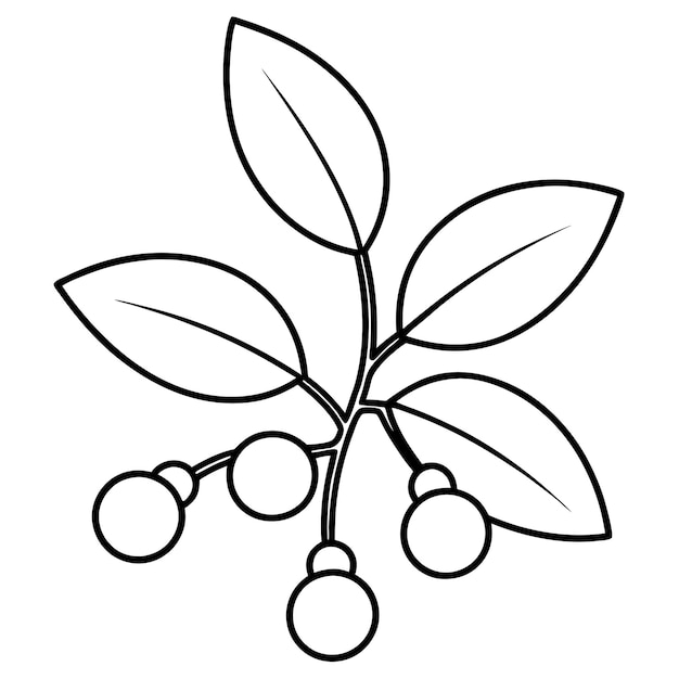 Ilustración artística de la línea vectorial del muérdago