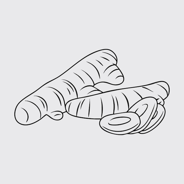 Ilustración artística de las rizomas de la cúrcuma