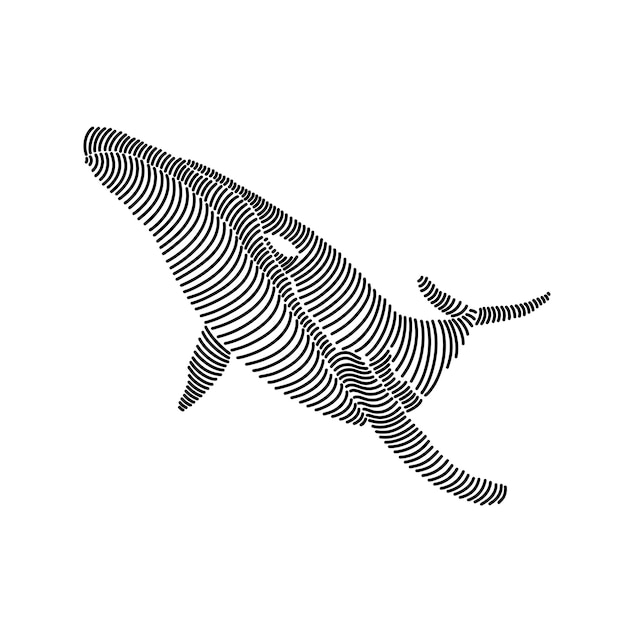 Ilustración artística sencilla de una ballena 3