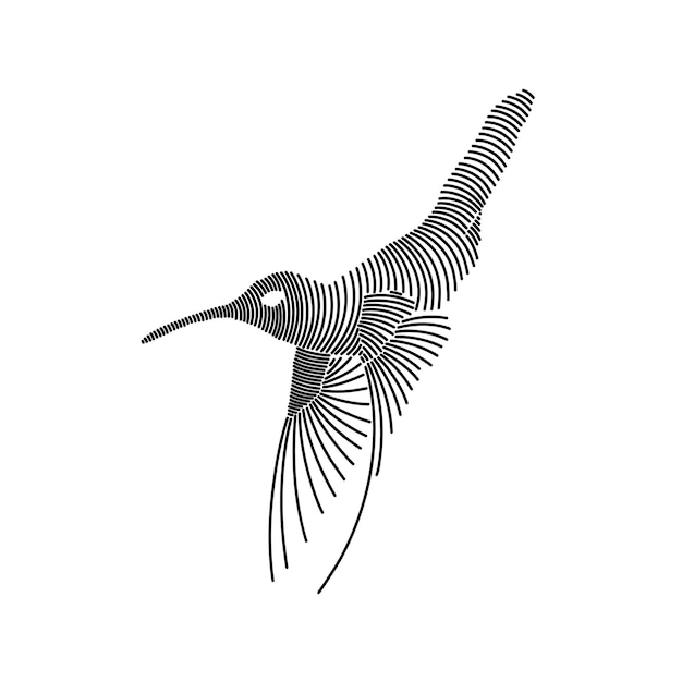 Ilustración artística sencilla de un colibrí 1