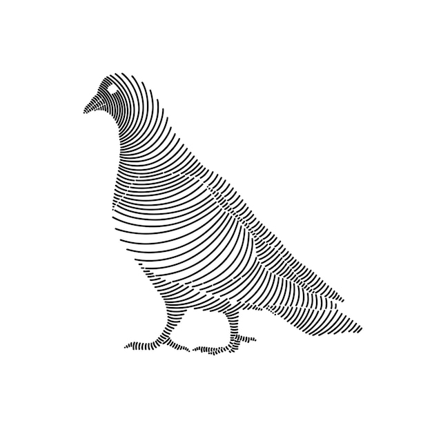 Ilustración artística sencilla de una paloma 3