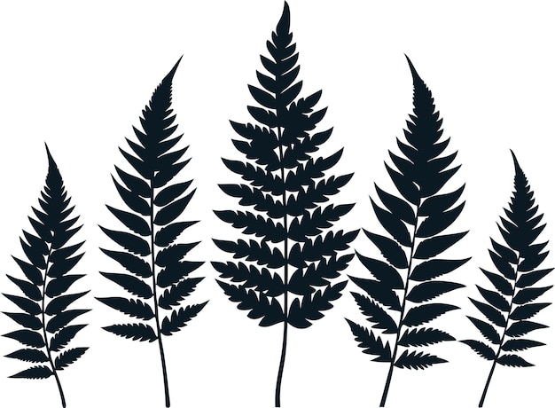 Ilustración artística de silueta negra de helecho Silueta de hoja de helecho Vector de color negro