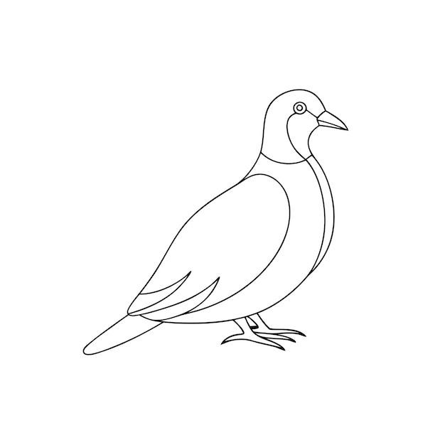 Ilustración artística de una sola línea de colibrí