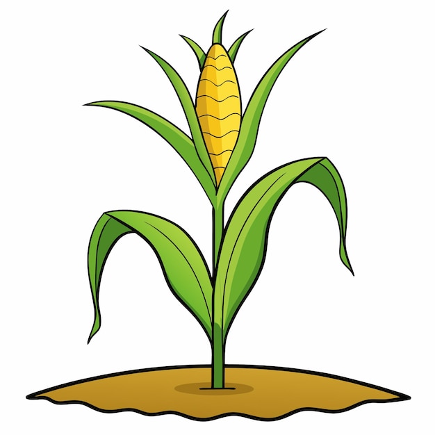 Ilustración artística del vector de crecimiento del campo de maíz