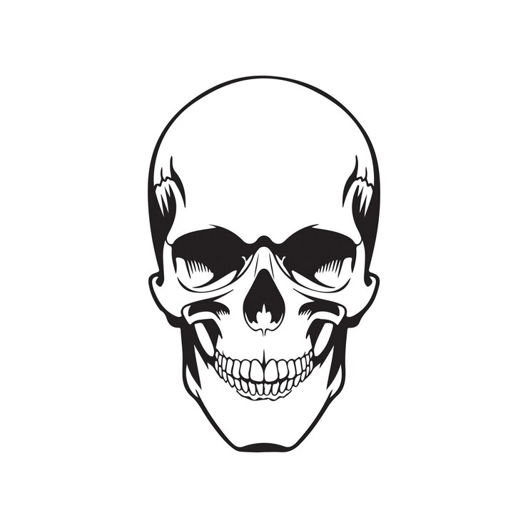 Ilustración artística vectorial de la cabeza del cráneo