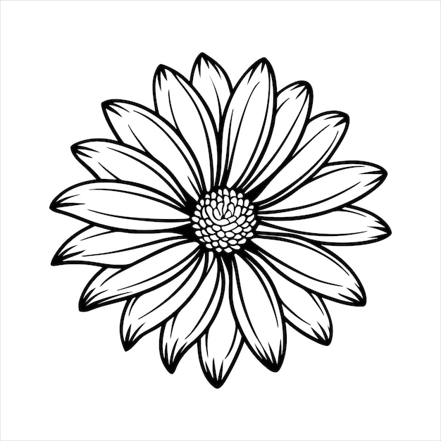 Ilustración artística vectorial de las flores de margarita