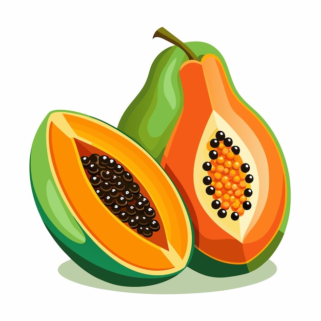Ilustración artística vectorial de la fruta de la papaya 9