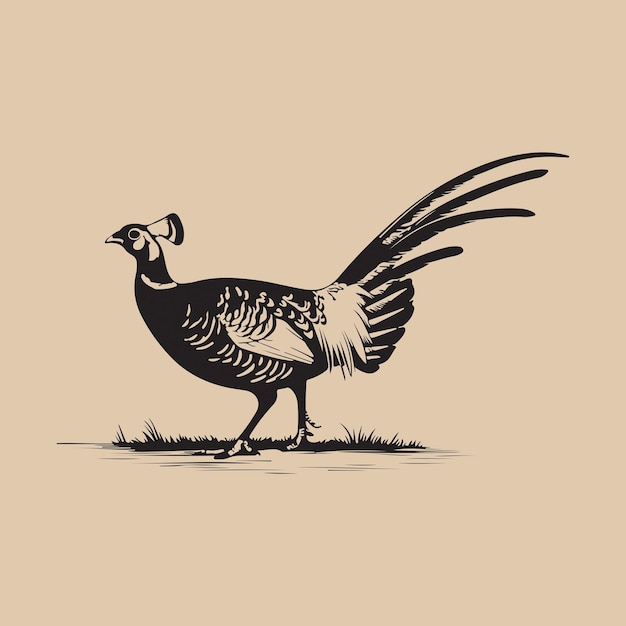 Ilustración artística vectorial del pájaro faisán
