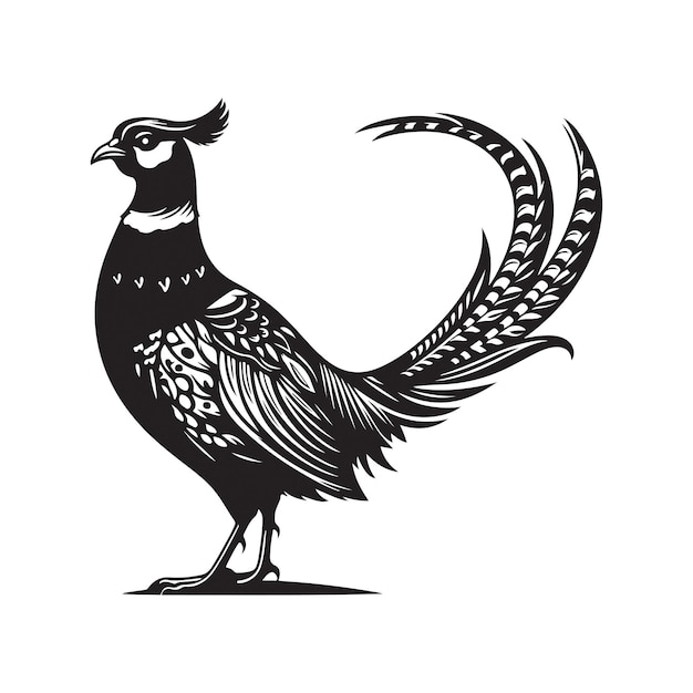Ilustración artística vectorial del pájaro faisán