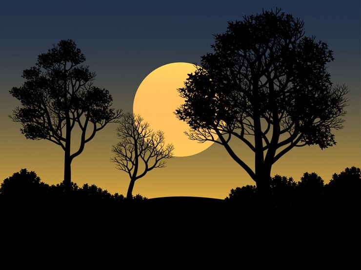 Vector ilustración del atardecer con la silueta del bosque
