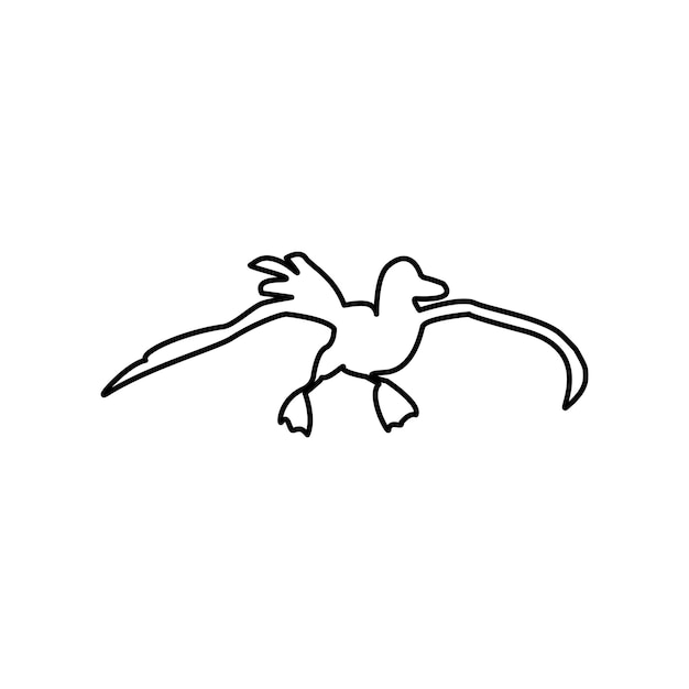 Ilustración de aves