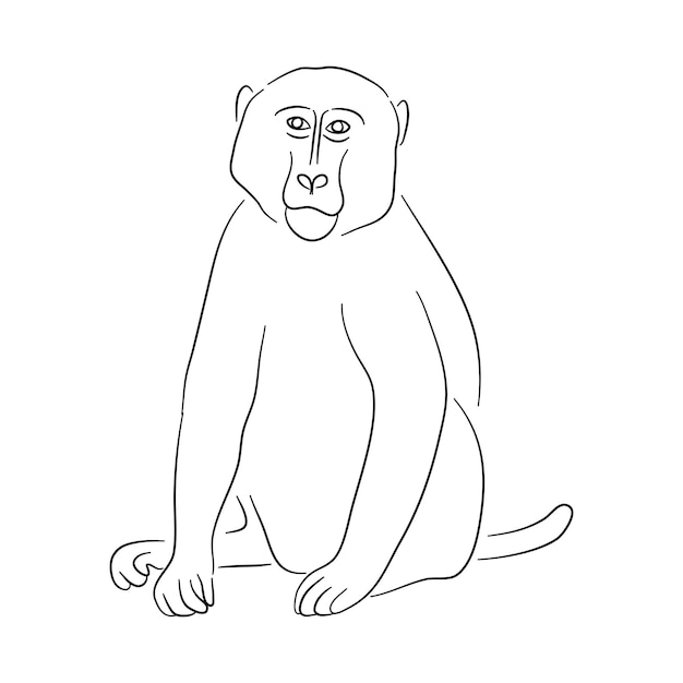 Ilustración de babuino en estilo garabato Vector aislado en un fondo blanco