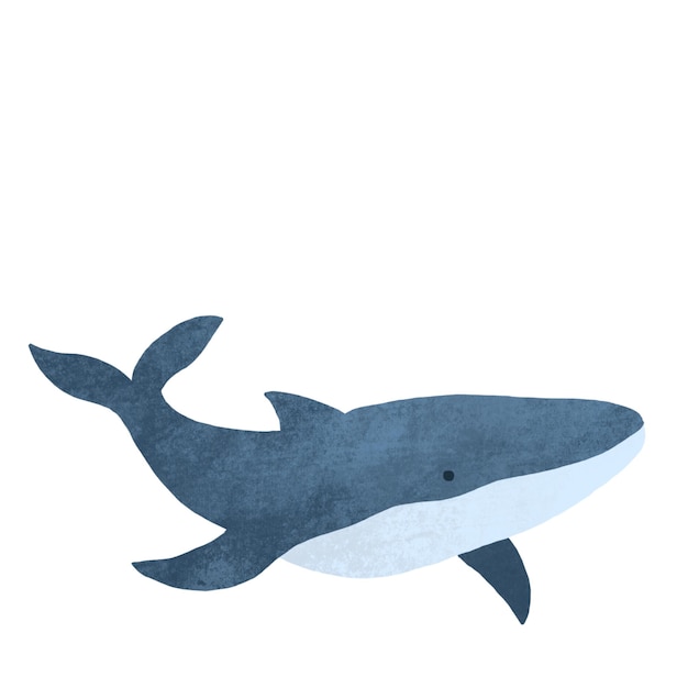 Ilustración de ballena