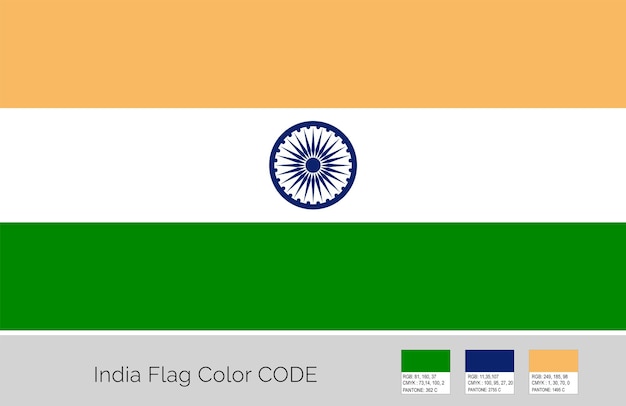 Vector ilustración de la bandera de la india y código de colores