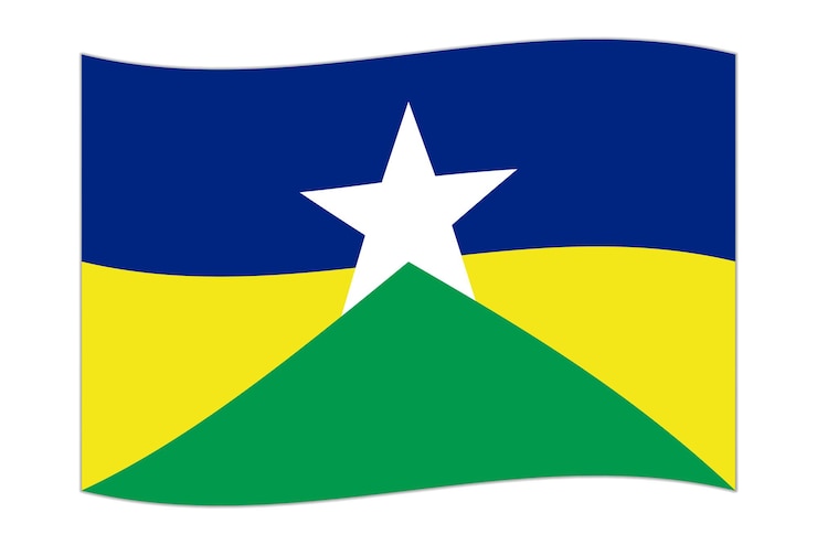 Vector la ilustración de la bandera de rondonia en el vector