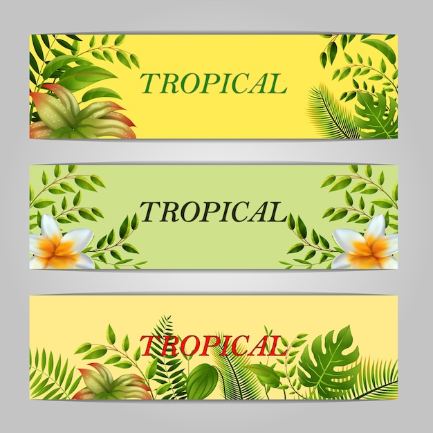 Ilustración de banner tropical
